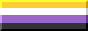 nonbinary pride flag
