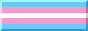 transgender pride